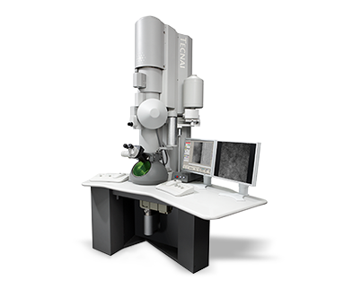 전계방사 투과전자현미경 (FE-TEM)